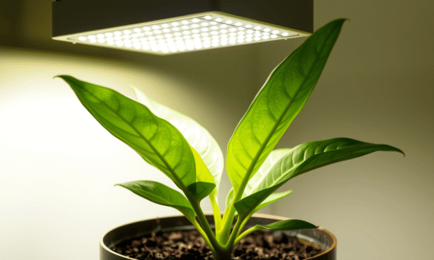 植物補光5大診斷：圖解缺光症狀、決策樹判斷，省電20%養出光合超人