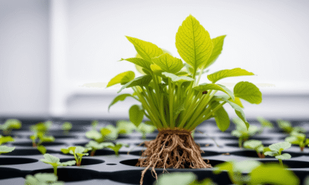 水耕植物急救指南：5秒診斷黃葉爛根，新手也能學會的7-21天養護SOP